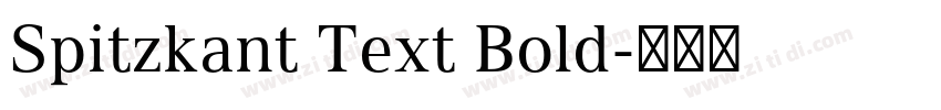 Spitzkant Text Bold字体转换 Spitzkant Text Bold字体转换